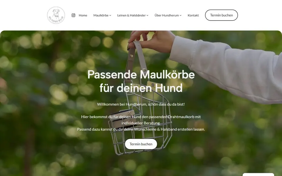 Startseite der Website am Rechner